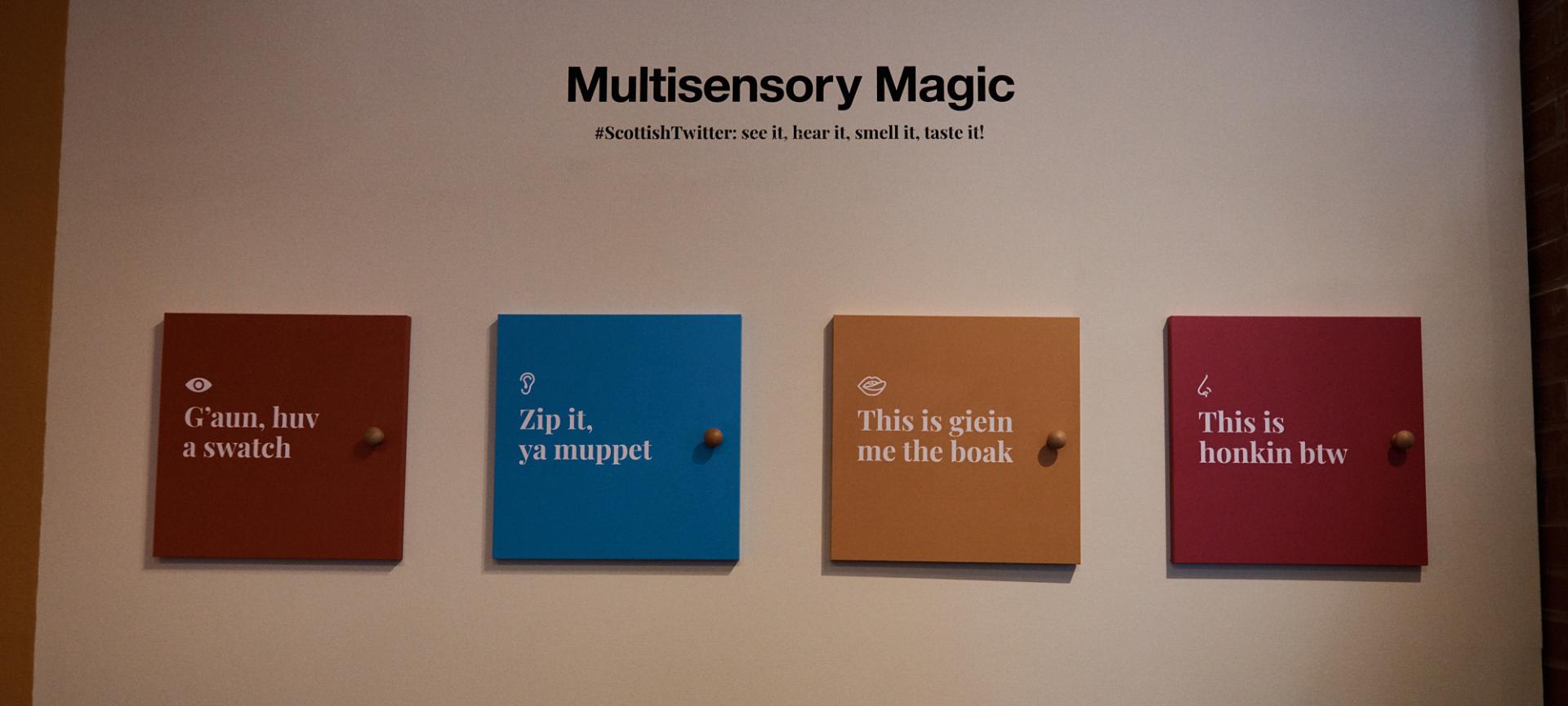 Multisensory area