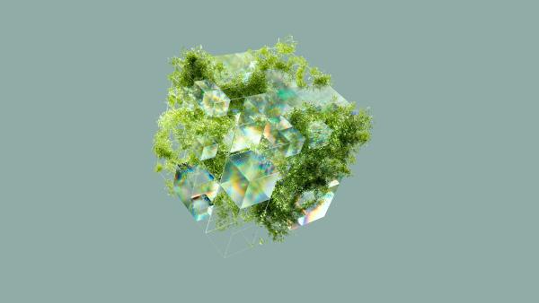 Image credit: Nidia Dias, Bio-ethics