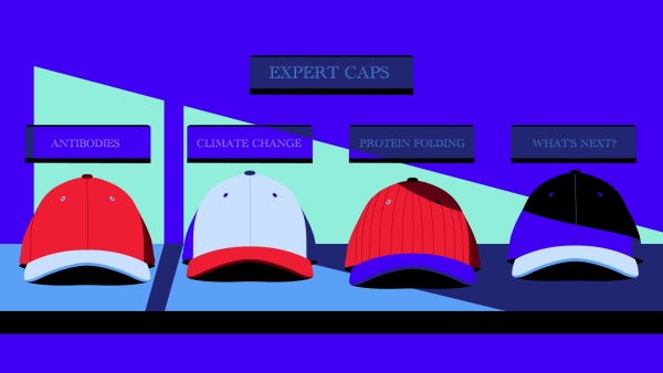 expert